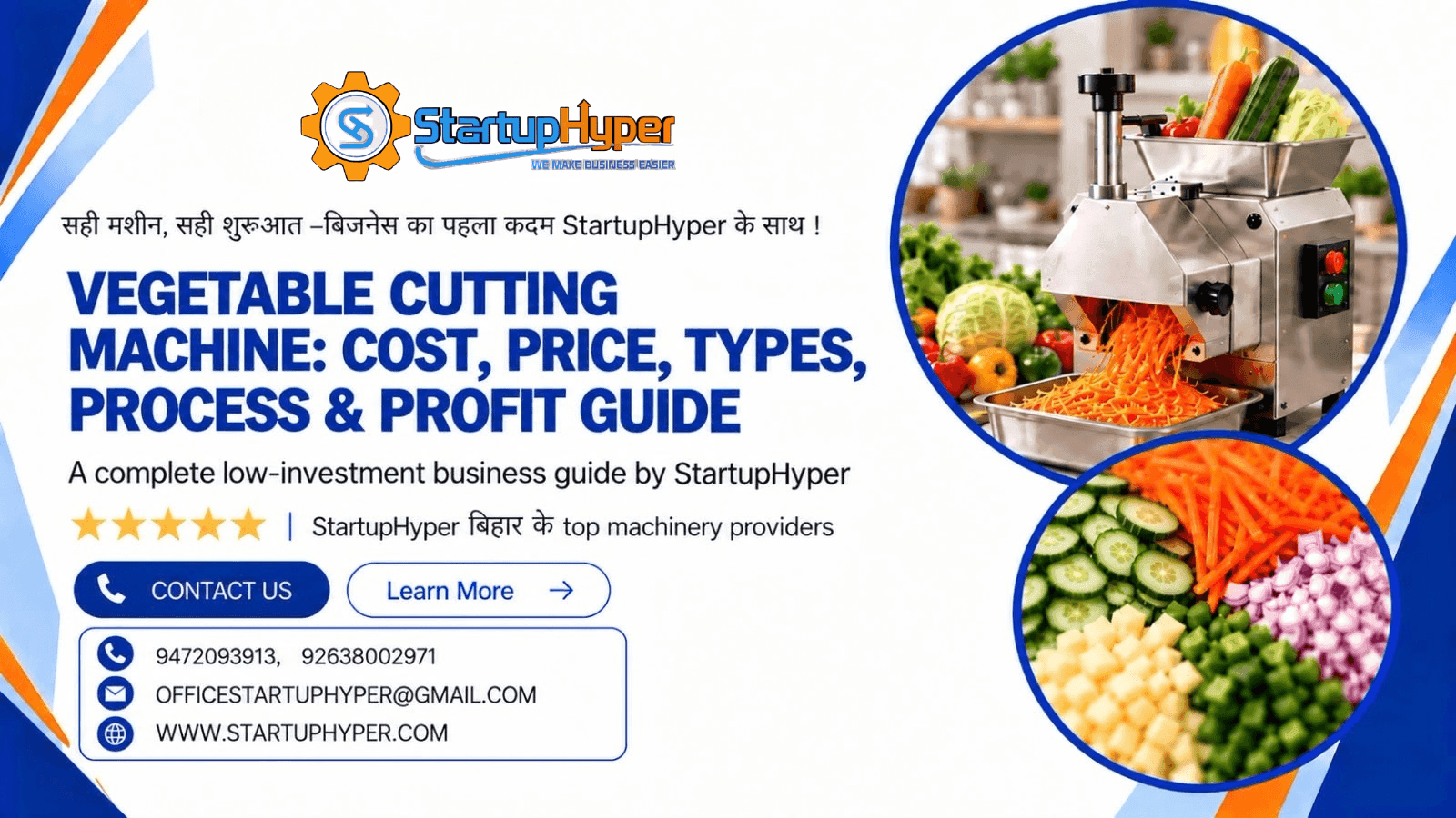 Vegetable Cutting Machine: Cost, Price, Types, Process & Profit Guide